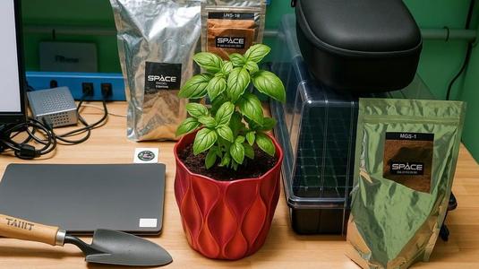The Martian Vase