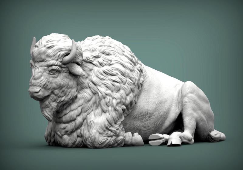 Bison