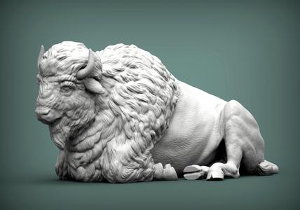 Bison