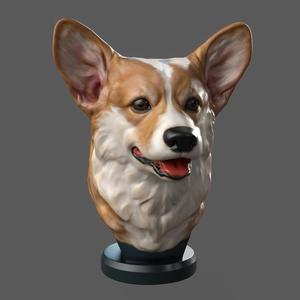 Corgi