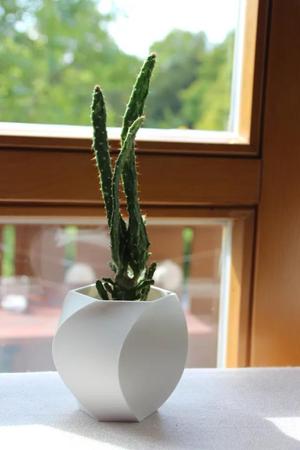 White Spiral Vase