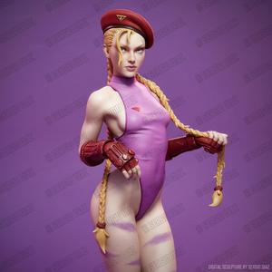 Cammy v2