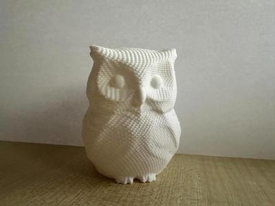 Cute Owl