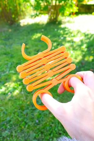 Scissor Snake