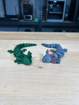 Articulated Axolotl – Multicolor and Singlecolor Profiles