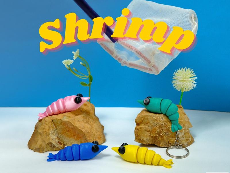 flexi shrimp & Keychain – No Supports