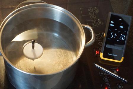 Float for a wireless thermometer