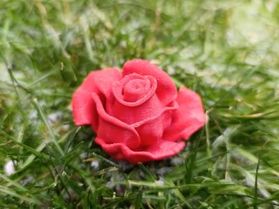 Mini Rose For The Loved Ones