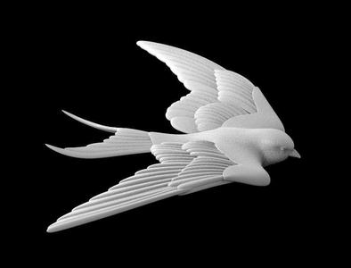 Sparrow paper dove