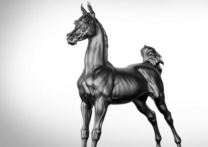 Arab Foal horse I 3D Sculpting