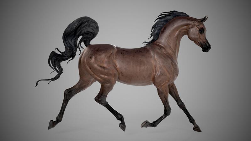 Arabian horse – 3D Sculpting – High Poly