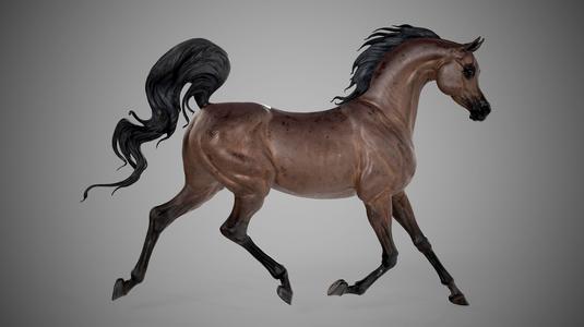 Arabian horse – 3D Sculpting – High Poly
