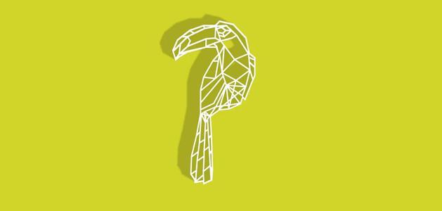 Geometric Toucan
