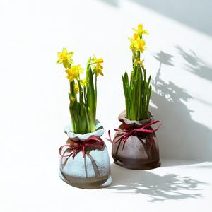 PLANTER IN BAG DESIGN / BAG PLANTER / JUTE BAG / SPRING DECORATION