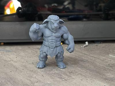Woolly Stories - The wool Giant