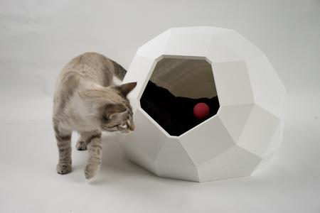 TAO LOW POLY cat house