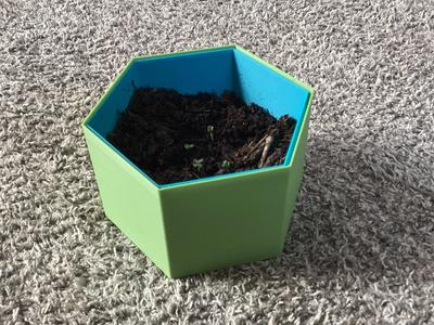 Seedling pot