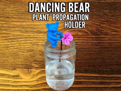DANCING BEAR PLANT PROPAGATION HOLDER