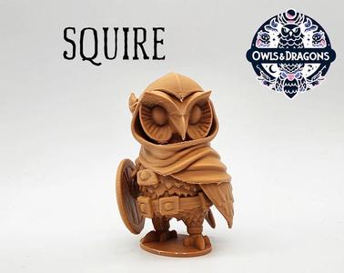 The Squire - Owls & Dragons   