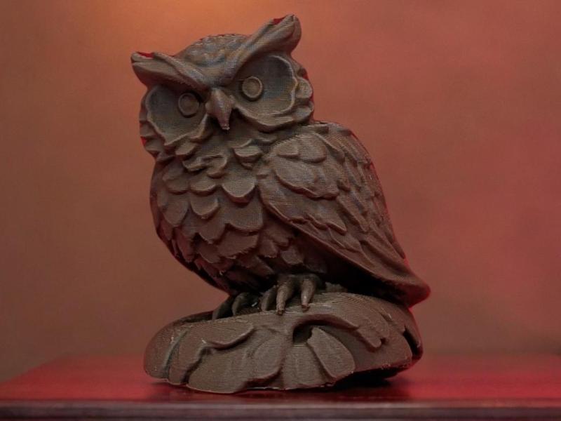 Wise Owl – Symbol of Knowledge & Mystery