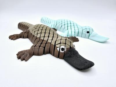 Large Hi-Flexi Platypus