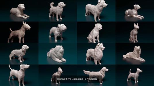 ronanskt-rm Collection