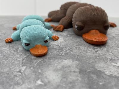 Platypus