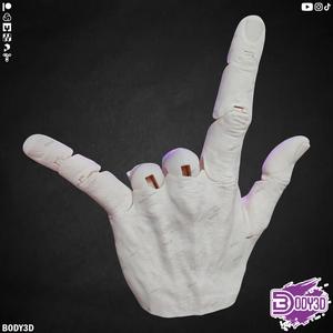 Articulated Hand