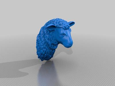 Sheep Head