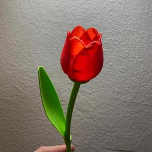 Beautiful Tulip With Stem – Best Valentine’s Day Gift