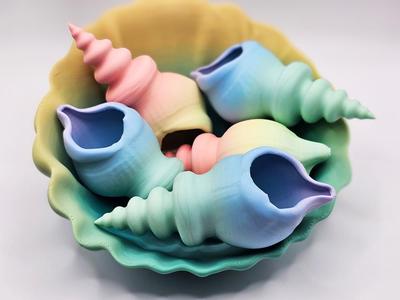 SeaShell