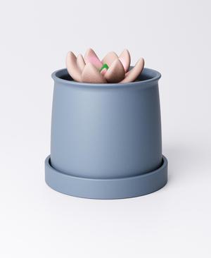 Small Curved Planter with Drip Tray