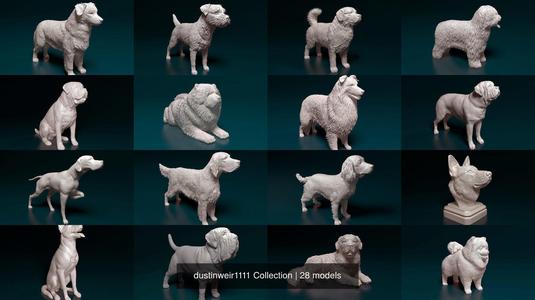 dustinweir1111 Collection collie dog