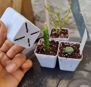 Square vase pot