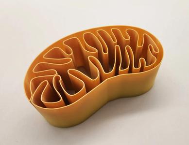 Mitochondria Spiral Vase