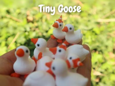 Cute Tiny Duck (goose) & No Support