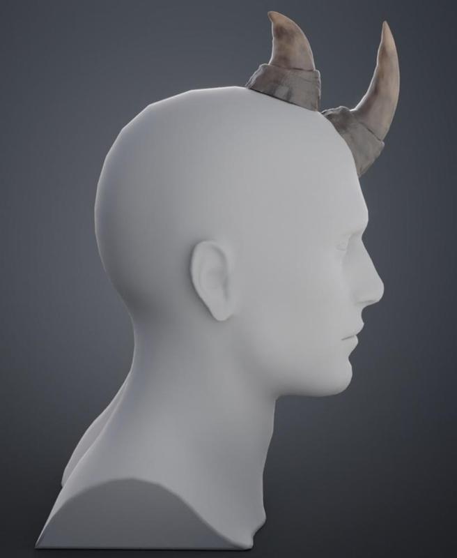 Rhino Horns