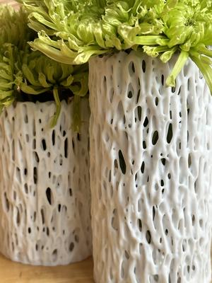 Banyan Trunk Vase (Large)