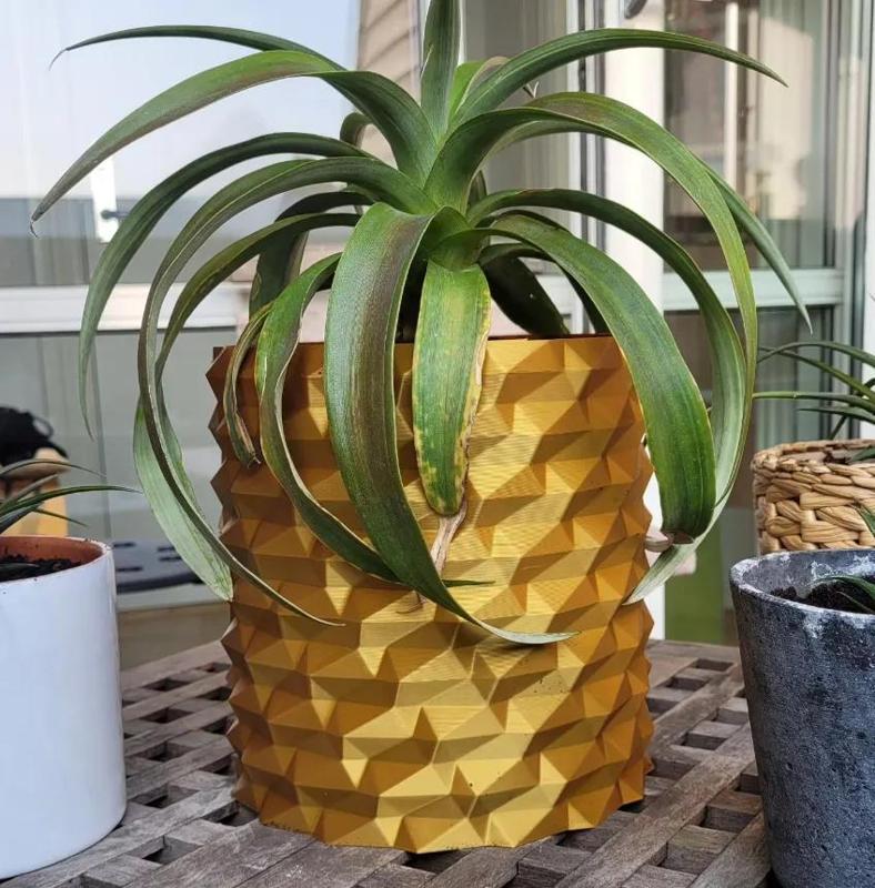 Ananas pot