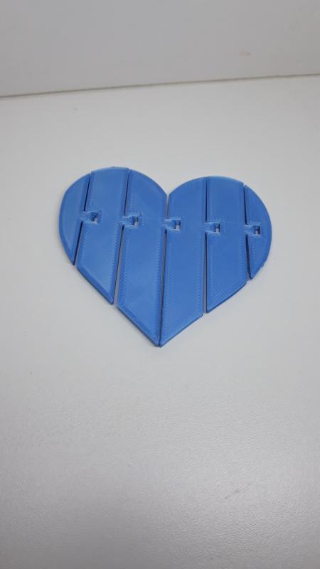 Print in place Flexi heart