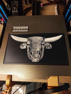 Bull Portrait 1