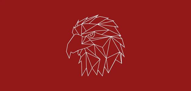 Geometric Eagle
