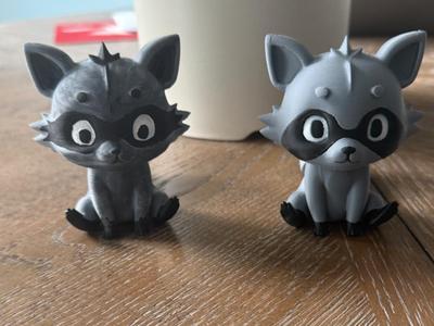 Racoon