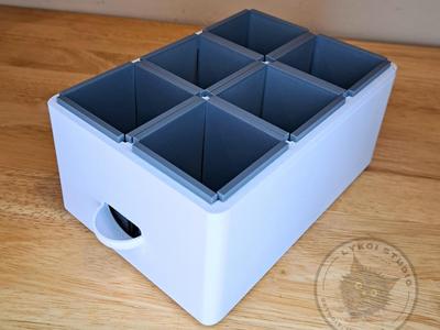 Large Seed Tray with Self-Watering Base