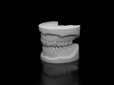 Human teeth model