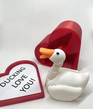 FLEXI DUCK WITH HEART GIFT BOX – PRINT IN PLACE