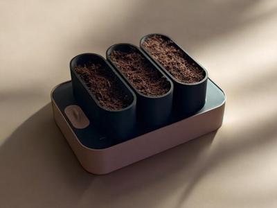 “HydroNest” – Small, efficient hydroponic setup