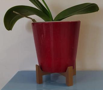 Simple Multifunctional Stand | Pet Bowl, Plant Pot, Decoration Riser   