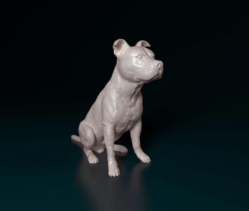 Staffordshire bull terrier sitting