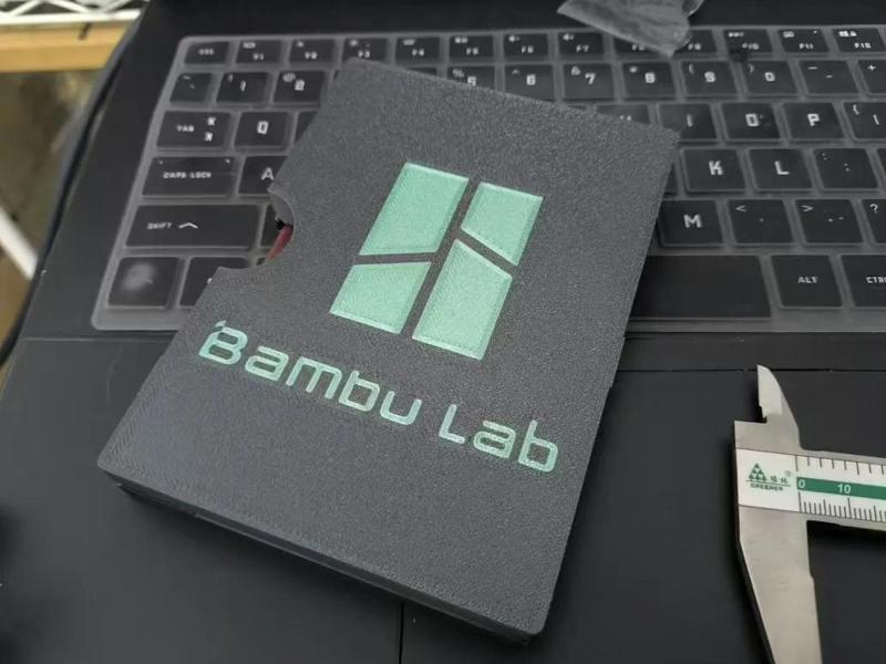 Passport holder
